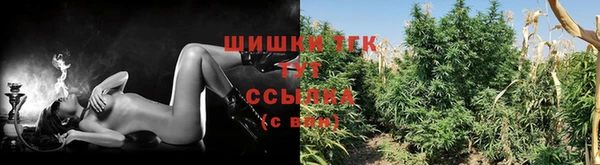винт Новокубанск