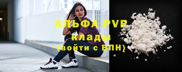 Альфа ПВП Новозыбков