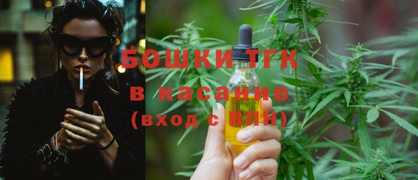 Альфа ПВП Новозыбков