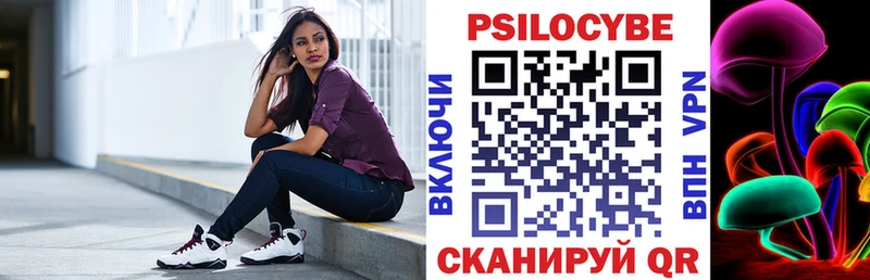 Псилоцибиновые грибы мухоморы  даркнет сайт  blacksprut маркетплейс  Чернушка 