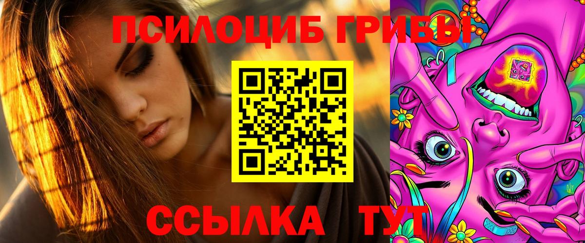 Псилоцибиновые грибы Psilocybine cubensis  Галлюциногенные грибы Magic Shrooms  Вход с VPN  Чернушка 